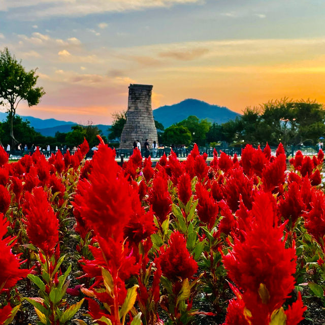 Daereungwon: Unveiling Ancient Royal Legacies in Gyeongju