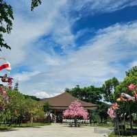 ฮิโนกิแลนด์(HINOKI LAND)