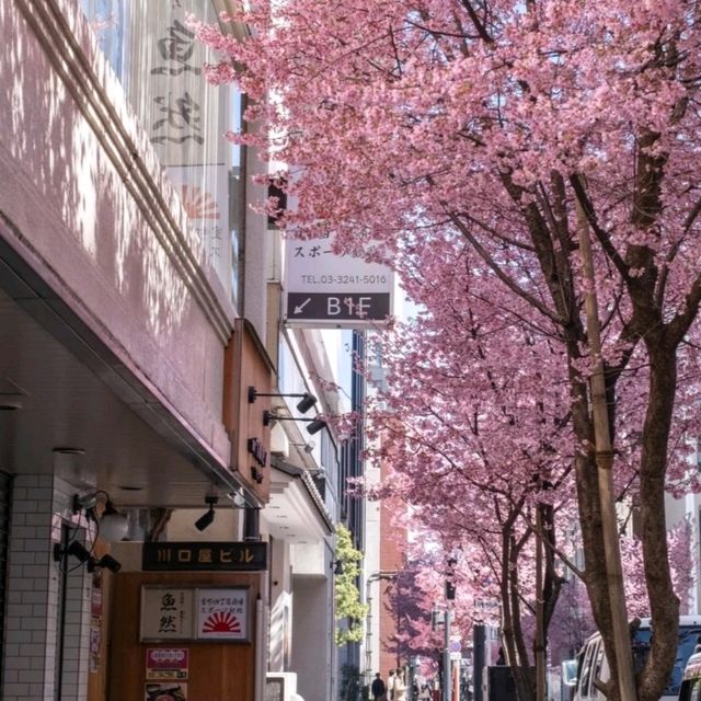 在日本遇到日本橋古典與潮流的彙集