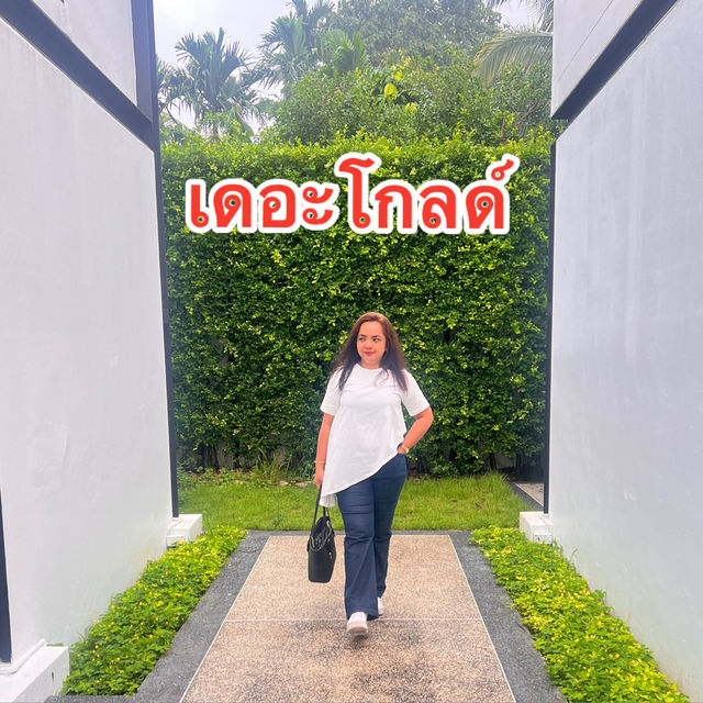 ทุ่งสงทัก 💛สวัสดีนครศรีธรรมราช💛เดอะโกลด์