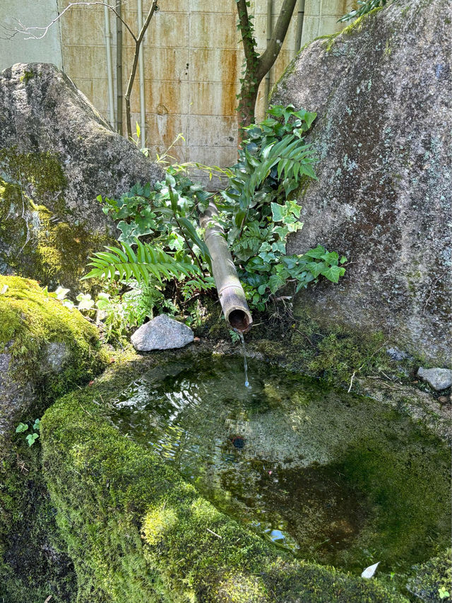 【福岡カフェ】糸島市の白糸の滝のそばにあるかき氷専門店