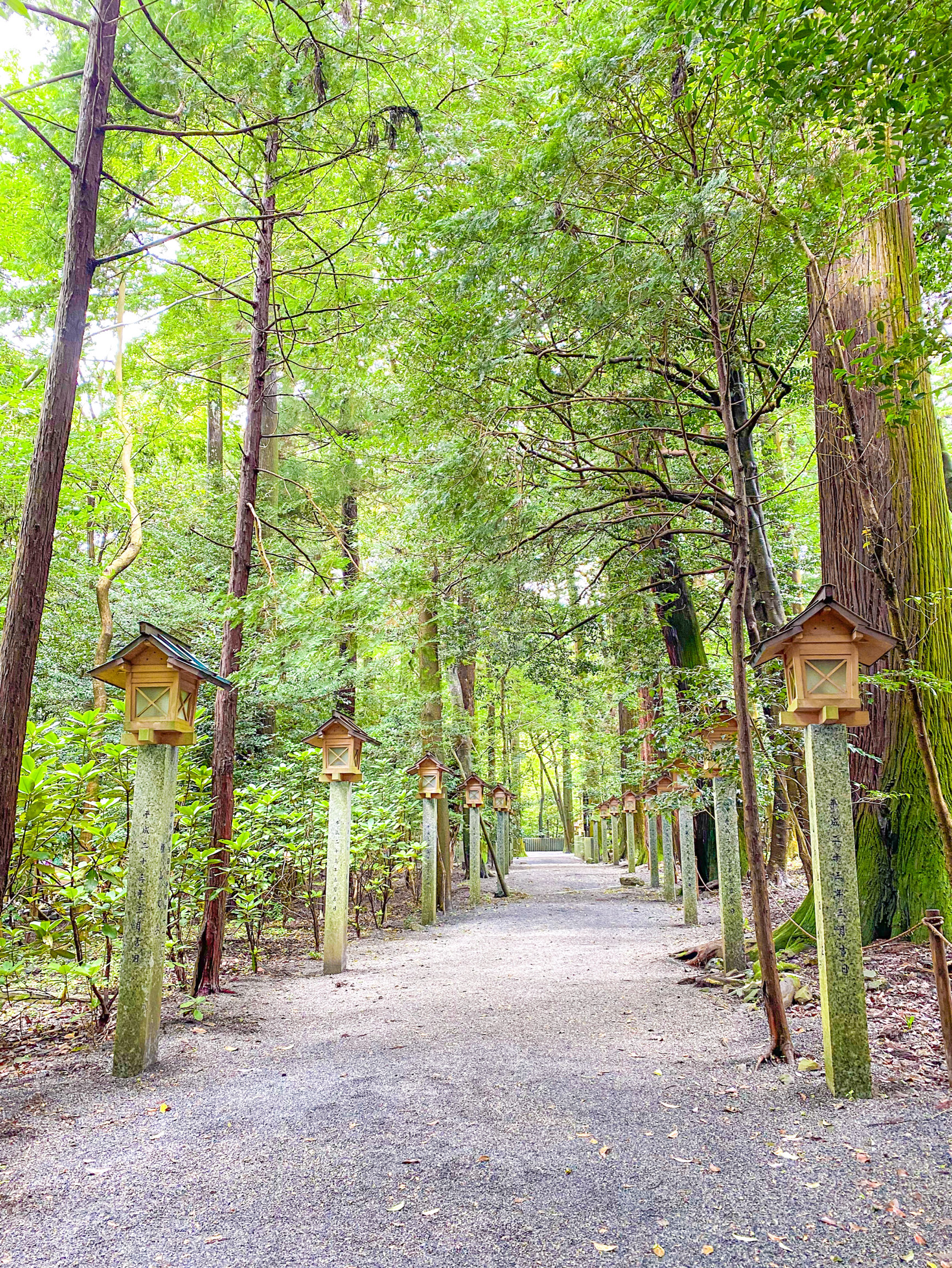 三重 鈴鹿】縁結びのパワースポット♥ 椿大神社 | Trip.com 鈴鹿