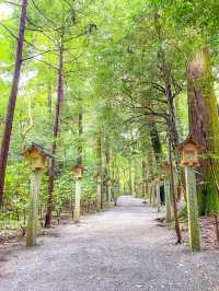 【三重 鈴鹿】縁結びのパワースポット♥ 椿大神社