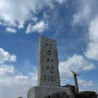 중장거리 등산 코스 추천! 민주지산⛰️