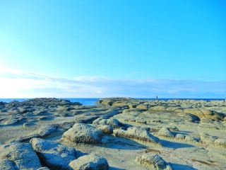 Be Moved by the Majestic Scenery of Senjojiki Coast!!