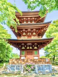 〜奈良県〜由緒あるお寺さん見られる紫陽花！絶景スポット