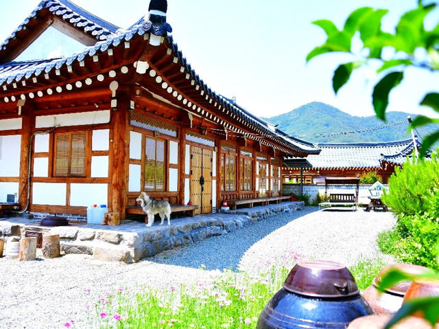 순천여행 한옥독채펜션 순천여행 한옥독채펜션