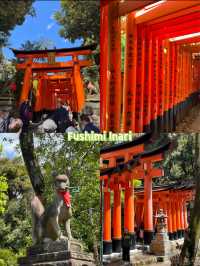 Kyoto Guide: Best Temples & Shrines ⛩️🇯🇵