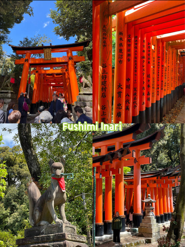 Kyoto Guide: Best Temples & Shrines ⛩️🇯🇵