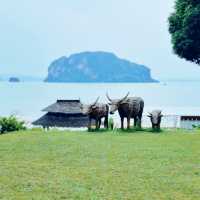 เกาะยาวใหญ่ 