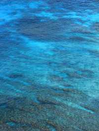 【峇里島】藍夢島潛水! 清澈海水、壯觀景色 ！