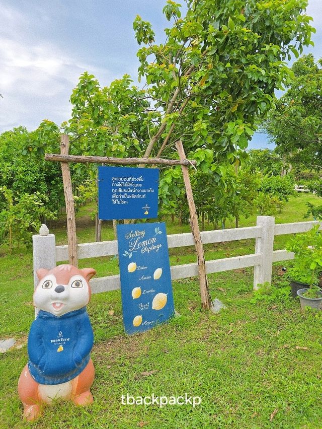 Pasutara สวนเลม่อน สวนผึ้งห้ามพลาดเลยน๊า 🍋