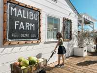 In Malibu, The Skies So Blue