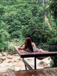 🌿Stay Wild & Café ที่พักและคาเฟ่ริมลำธารเชียงใหม่