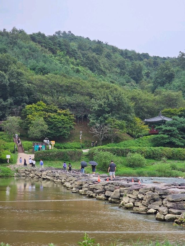 초평호 위의 아찔한🫣 출렁다리 