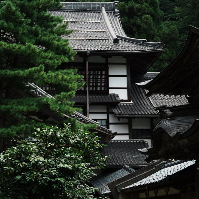 孔大寺神社 ⛩️ 平靜祥和