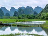 Incredible nature views