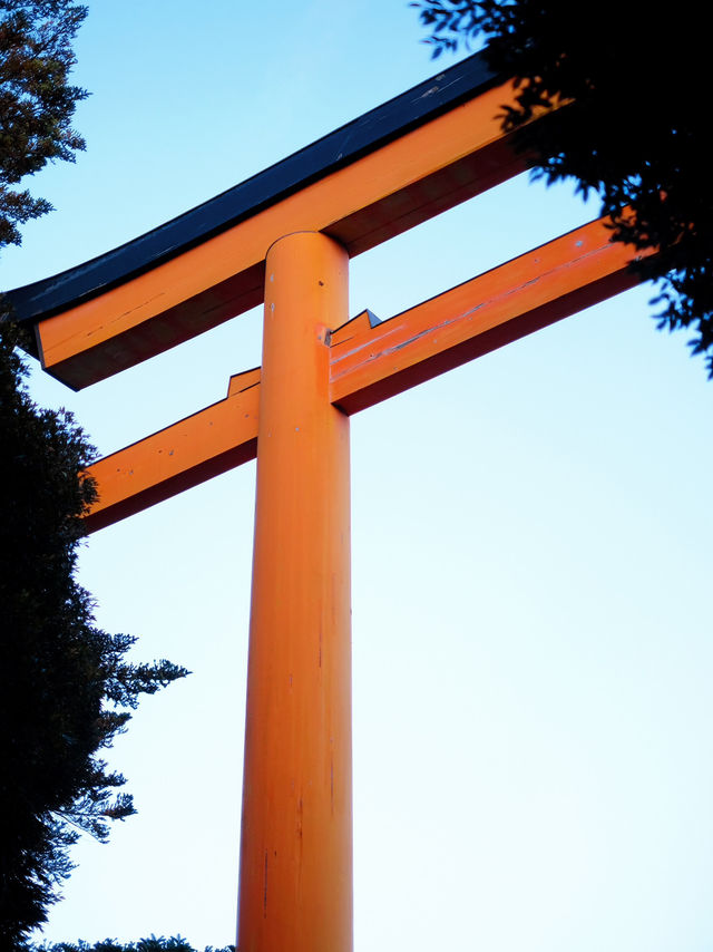 🇯🇵川越｜用釣的魚形神籤 🐟