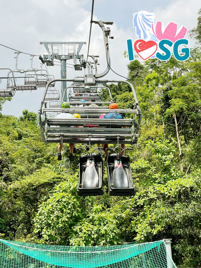 🚡 Luge your way down in Sentosa