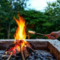 🏕️ที่พักเขาใหญ่แกลมปิ้งสุดไพรเวท Te Mata Glamping