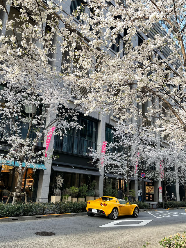 日本橋　