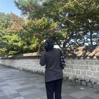 전통 한옥이 모여있는 전주에 다녀왔습니다!!