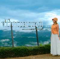 ที่พักบนม่อนแจ่ม ชมวิวทะเลหมอก 