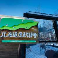 北海道旭山動物園