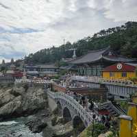 Serene Oceanfront Oasis: Yonggungsa Temple