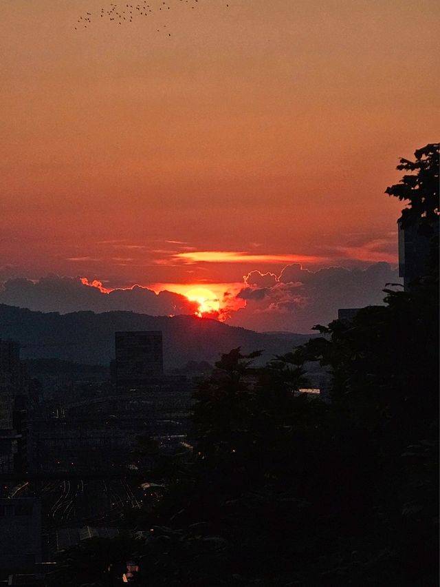 🇨🇭 스위스 취리히 노을은 여기서 감상하세요 ♥️