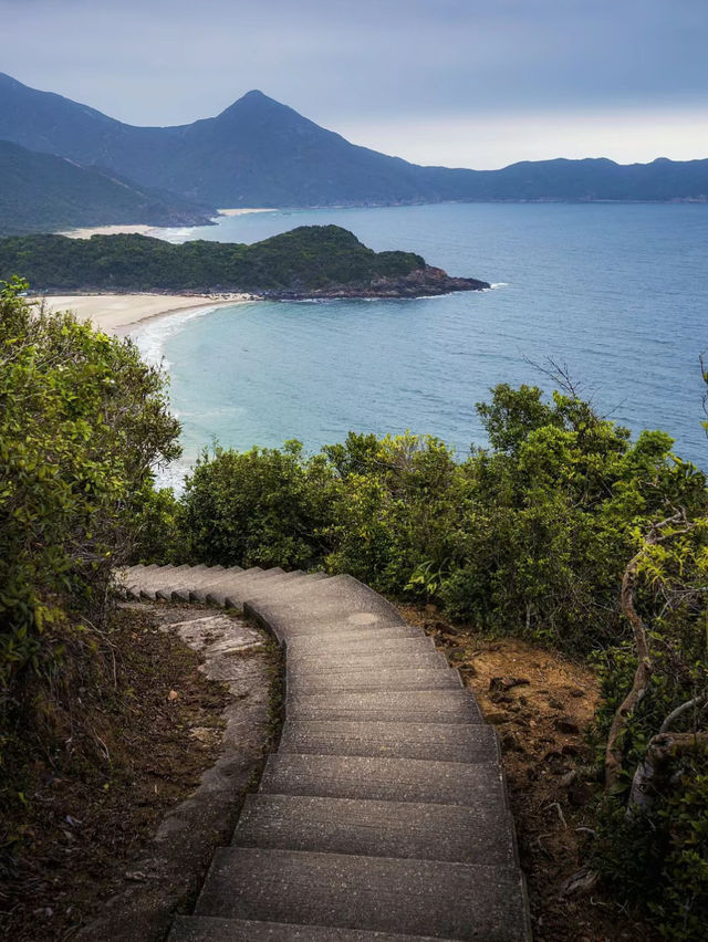 【香港】獅子山徒步：壯麗景色🏖️，全貌可見🔥🔥