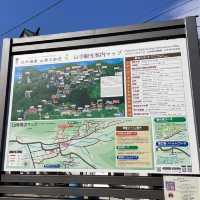 心落ち着く大人女子旅：山形・山寺で静寂と自然を堪能
