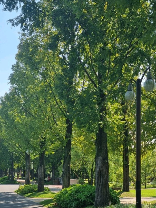 순천만 숲체험