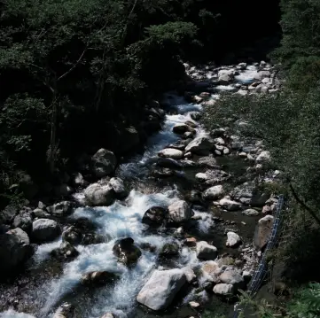 #八仙山森林遊樂區 #台中景點