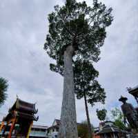 清邁寺廟-契迪龍寺