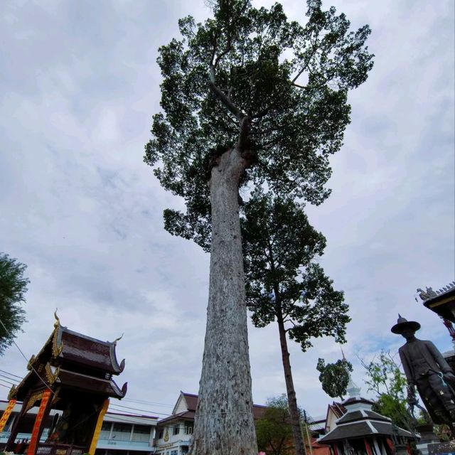 清邁寺廟-契迪龍寺