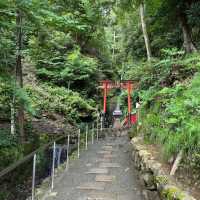 🏯高良大社🌿 景色綺麗 🏯