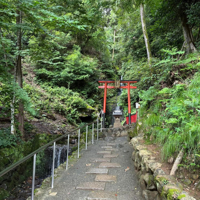 🏯高良大社🌿 景色綺麗 🏯