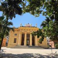 Discover Nature’s Beauty at Palermo Botanical Gardens