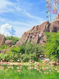 ชม Flamingo 🦩🍃 เจ้านกสีชมพูสุดหวานแหว๋ว 💖