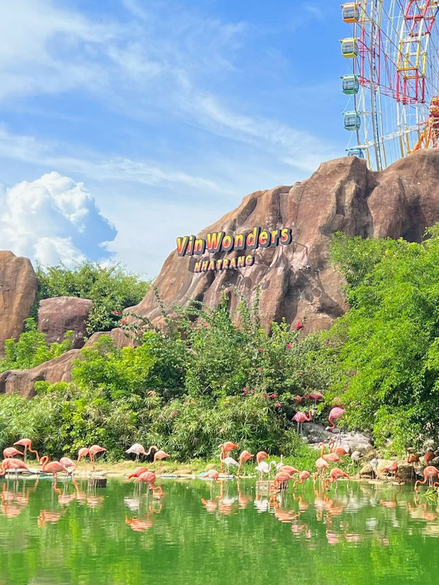 ชม Flamingo 🦩🍃 เจ้านกสีชมพูสุดหวานแหว๋ว 💖