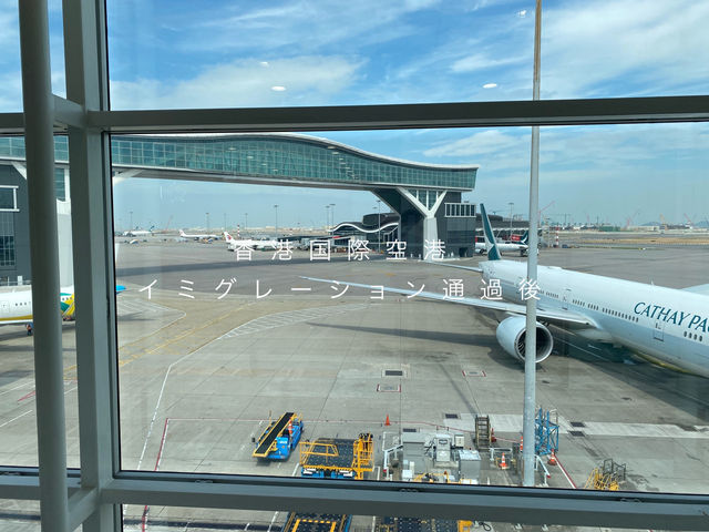JALで行く国際線 香港→日本