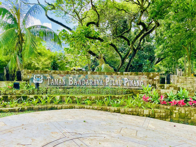 An ideal spot for families 👫🚶😎