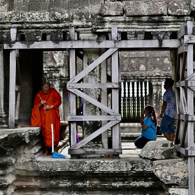 See Angkor Wat and Die