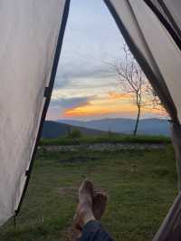 แคมป์ภูชี้ฟ้า | จ.เชียงราย ⛺️🌳☀️💫