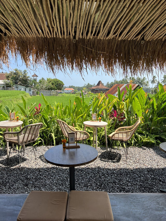 Cafe surrounded Ubud rice fields🌾
