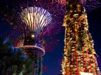 A Lantern Wonderland in Gardens by the Bay