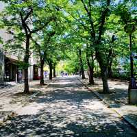 【京都】京都が満喫できる町並み 祇園白川