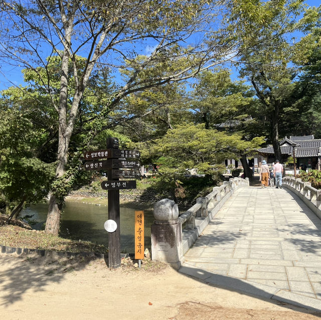 단풍으로 유명한 공주 마곡사 다녀왔어요 🍂🍁