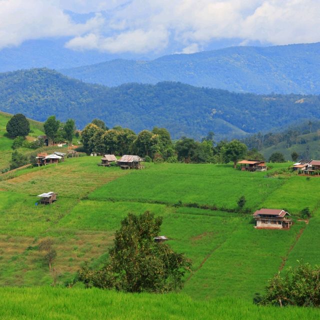 นาขั้นบันได บ้านป่างเปียง เชียงใหม่